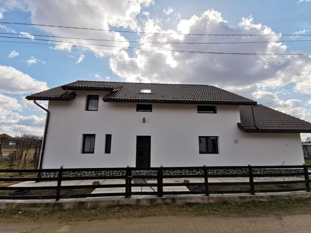Pensiunea Alina Baia de Fier Exterior foto