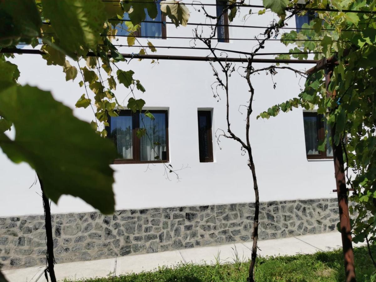 Pensiunea Alina Baia de Fier Exterior foto