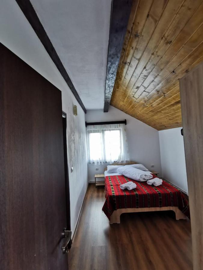 Pensiunea Alina Baia de Fier Exterior foto