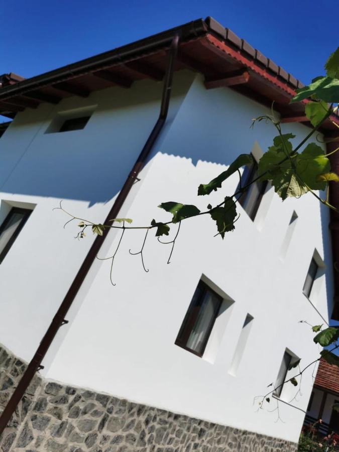 Pensiunea Alina Baia de Fier Exterior foto