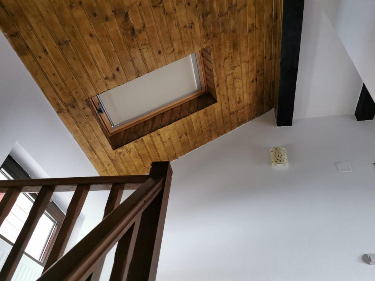 Pensiunea Alina Baia de Fier Exterior foto
