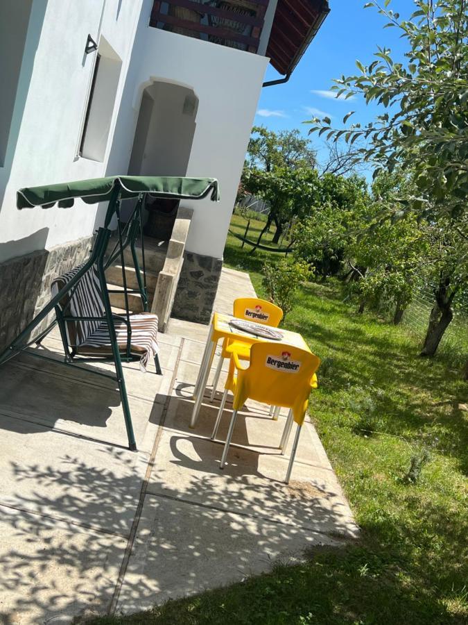 Pensiunea Alina Baia de Fier Exterior foto