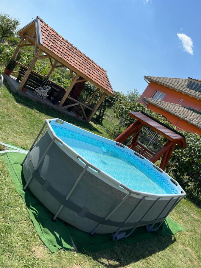 Pensiunea Alina Baia de Fier Exterior foto